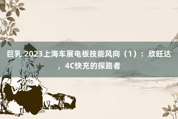 巨乳 2023上海车展电板技能风向（1）：欣旺达，4C快充的探路者