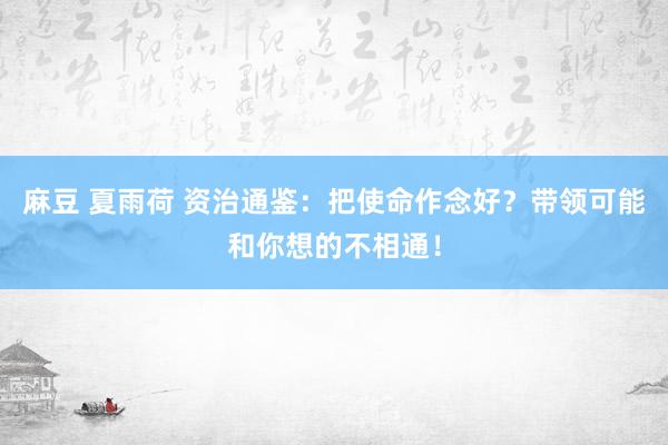 麻豆 夏雨荷 资治通鉴：把使命作念好？带领可能和你想的不相通！