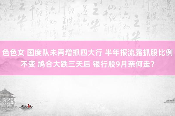 色色女 国度队未再增抓四大行 半年报流露抓股比例不变 鸠合大跌三天后 银行股9月奈何走？