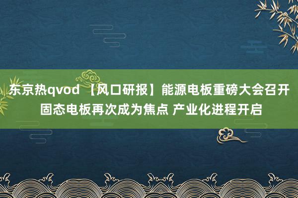 东京热qvod 【风口研报】能源电板重磅大会召开 固态电板再次成为焦点 产业化进程开启