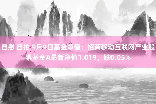 自慰 自拍 9月9日基金净值：招商移动互联网产业股票基金A最新净值1.019，跌0.05%