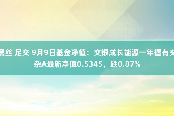 黑丝 足交 9月9日基金净值：交银成长能源一年握有夹杂A最新净值0.5345，跌0.87%