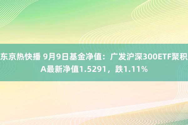 东京热快播 9月9日基金净值：广发沪深300ETF聚积A最新净值1.5291，跌1.11%