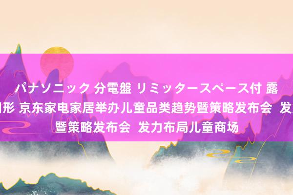 パナソニック 分電盤 リミッタースペース付 露出・半埋込両用形 京东家电家居举办儿童品类趋势暨策略发布会  发力布局儿童商场