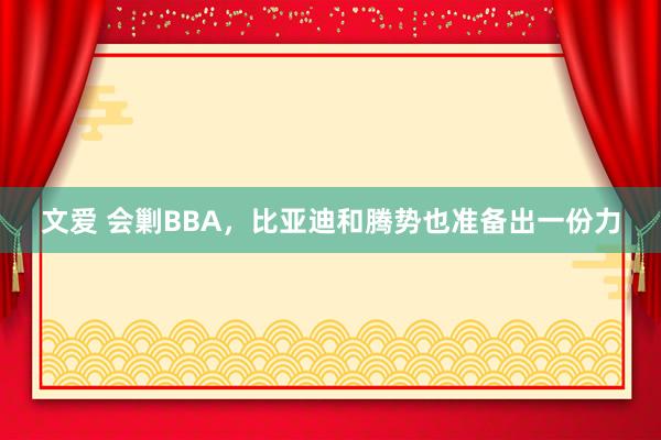 文爱 会剿BBA，比亚迪和腾势也准备出一份力