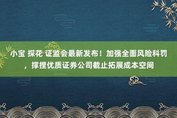 小宝 探花 证监会最新发布！加强全面风险科罚，撑捏优质证券公司截止拓展成本空间