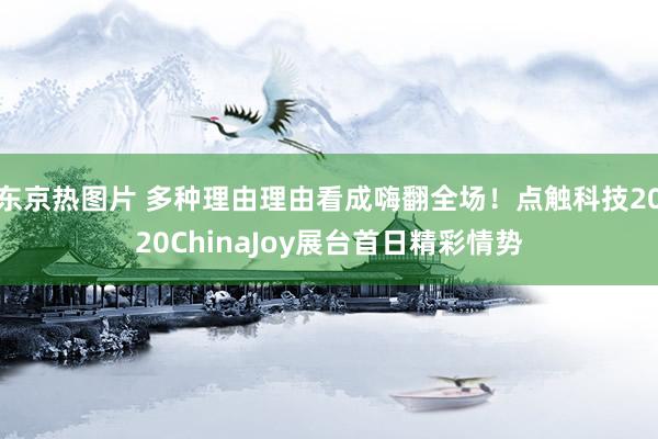 东京热图片 多种理由理由看成嗨翻全场！点触科技2020ChinaJoy展台首日精彩情势