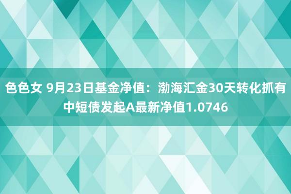 色色女 9月23日基金净值：渤海汇金30天转化抓有中短债发起A最新净值1.0746