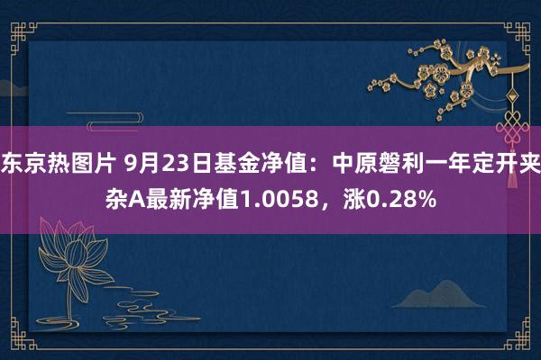 东京热图片 9月23日基金净值：中原磐利一年定开夹杂A最新净值1.0058，涨0.28%