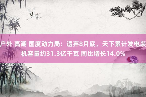 户外 高潮 国度动力局：遗弃8月底，天下累计发电装机容量约31.3亿千瓦 同比增长14.0%