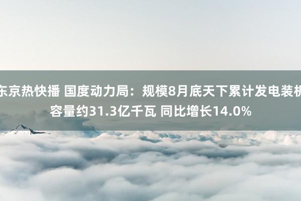 东京热快播 国度动力局：规模8月底天下累计发电装机容量约31.3亿千瓦 同比增长14.0%