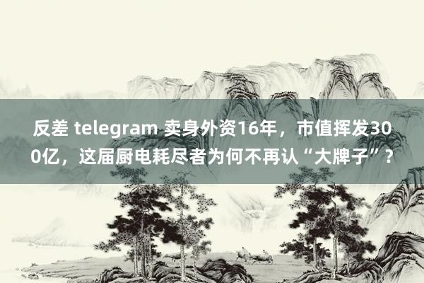 反差 telegram 卖身外资16年，市值挥发300亿，这届厨电耗尽者为何不再认“大牌子”？