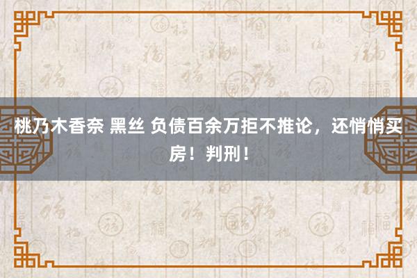 桃乃木香奈 黑丝 负债百余万拒不推论，还悄悄买房！判刑！