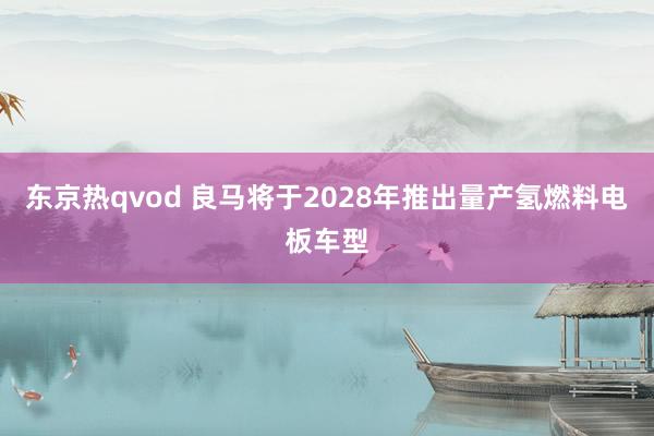 东京热qvod 良马将于2028年推出量产氢燃料电板车型