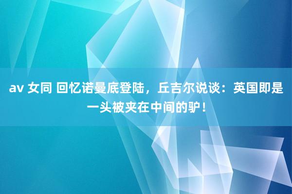 av 女同 回忆诺曼底登陆，丘吉尔说谈：英国即是一头被夹在中间的驴！