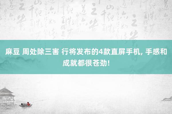 麻豆 周处除三害 行将发布的4款直屏手机， 手感和成就都很苍劲!