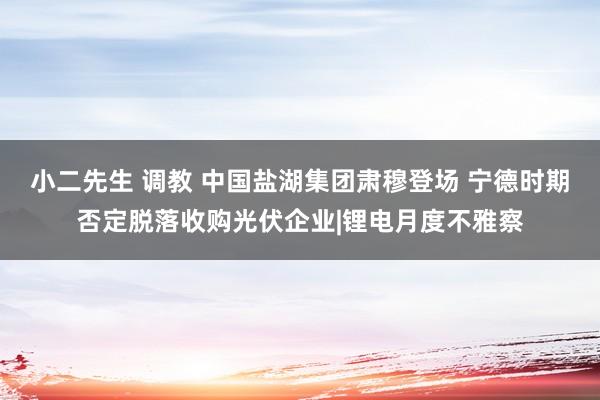 小二先生 调教 中国盐湖集团肃穆登场 宁德时期否定脱落收购光伏企业|锂电月度不雅察