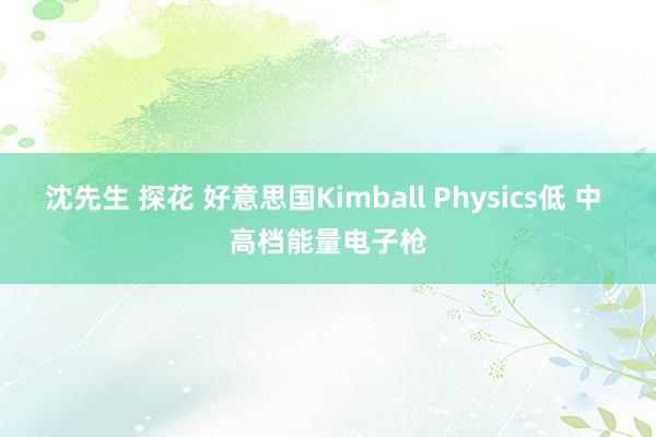 沈先生 探花 好意思国Kimball Physics低 中 高档能量电子枪