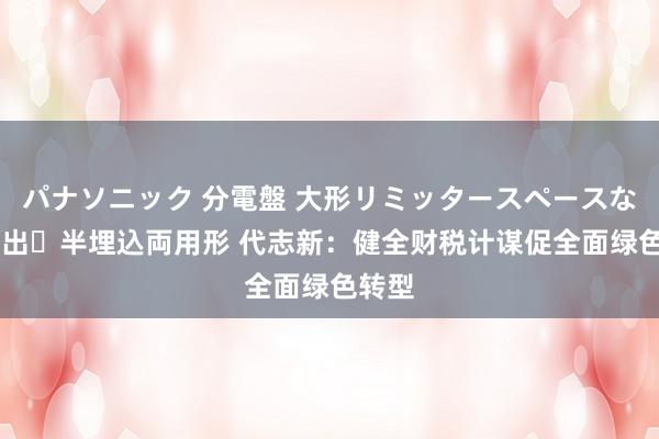 パナソニック 分電盤 大形リミッタースペースなし 露出・半埋込両用形 代志新：健全财税计谋促全面绿色转型