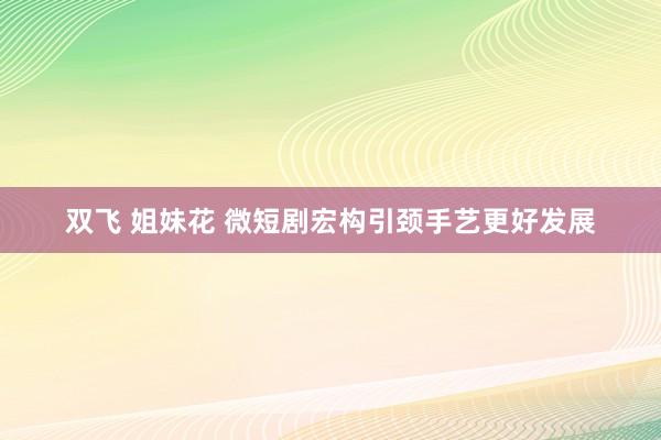 双飞 姐妹花 微短剧宏构引颈手艺更好发展