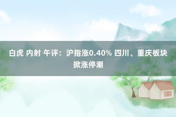 白虎 内射 午评：沪指涨0.40% 四川、重庆板块掀涨停潮