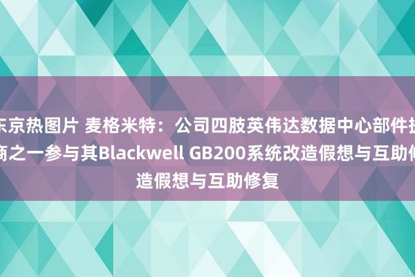 东京热图片 麦格米特：公司四肢英伟达数据中心部件提供商之一参与其Blackwell GB200系统改造假想与互助修复