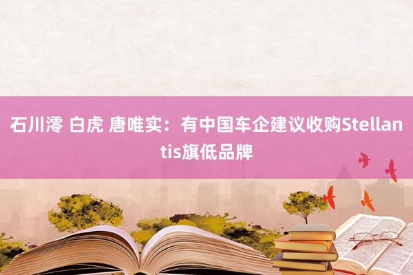 石川澪 白虎 唐唯实：有中国车企建议收购Stellantis旗低品牌