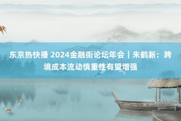 东京热快播 2024金融街论坛年会｜朱鹤新：跨境成本流动慎重性有望增强