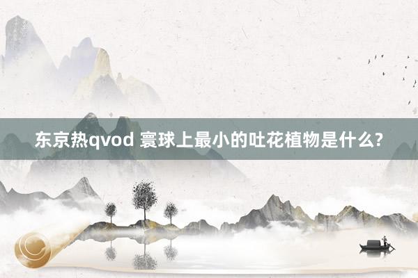 东京热qvod 寰球上最小的吐花植物是什么?