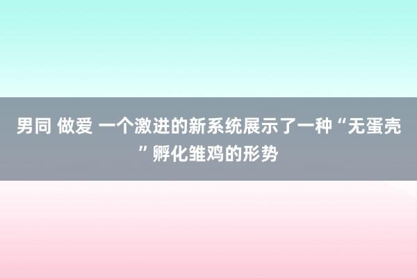 男同 做爱 一个激进的新系统展示了一种“无蛋壳”孵化雏鸡的形势