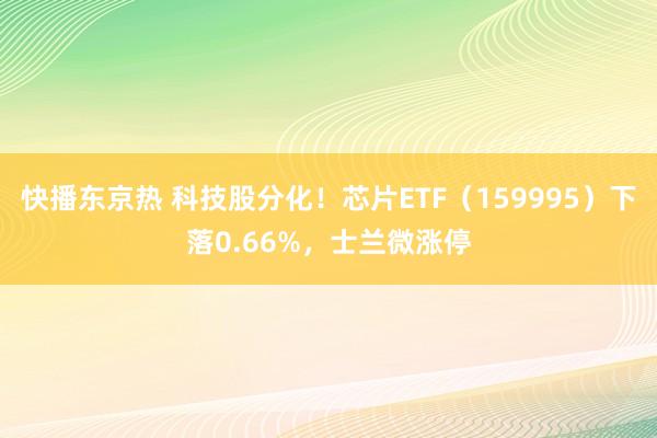 快播东京热 科技股分化！芯片ETF（159995）下落0.66%，士兰微涨停