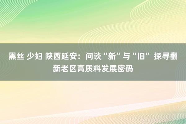 黑丝 少妇 陕西延安：问谈“新”与“旧” 探寻翻新老区高质料发展密码