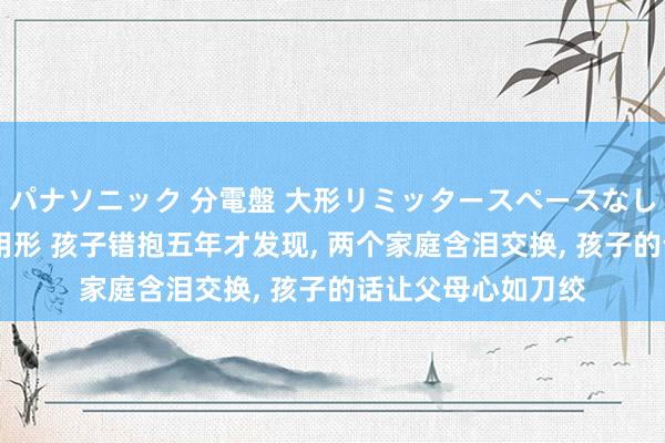 パナソニック 分電盤 大形リミッタースペースなし 露出・半埋込両用形 孩子错抱五年才发现， 两个家庭含泪交换， 孩子的话让父母心如刀绞