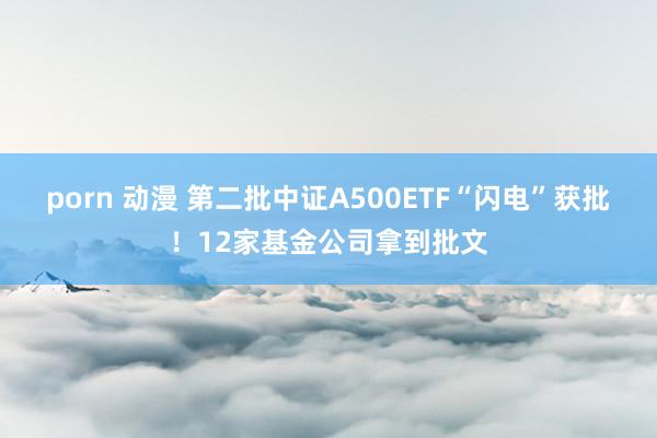 porn 动漫 第二批中证A500ETF“闪电”获批！12家基金公司拿到批文