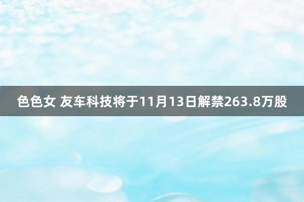 色色女 友车科技将于11月13日解禁263.8万股