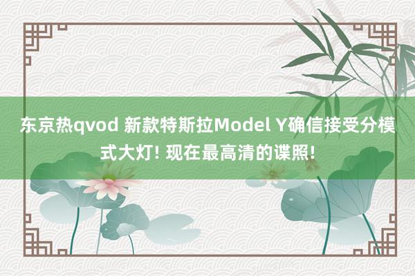 东京热qvod 新款特斯拉Model Y确信接受分模式大灯! 现在最高清的谍照!