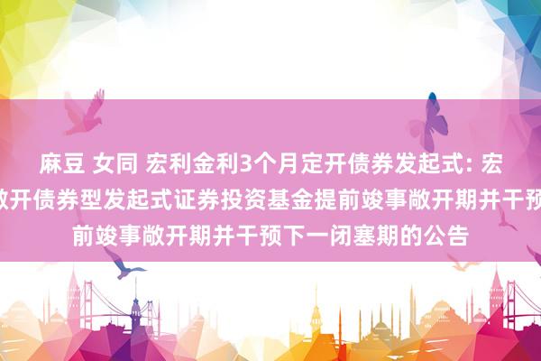 麻豆 女同 宏利金利3个月定开债券发起式: 宏利金利3个月按期敞开债券型发起式证券投资基金提前竣事敞开期并干预下一闭塞期的公告