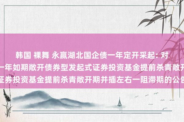 韩国 裸舞 永赢湖北国企债一年定开采起: 对于永赢湖北国有企业债一年如期敞开债券型发起式证券投资基金提前杀青敞开期并插左右一阻滞期的公告