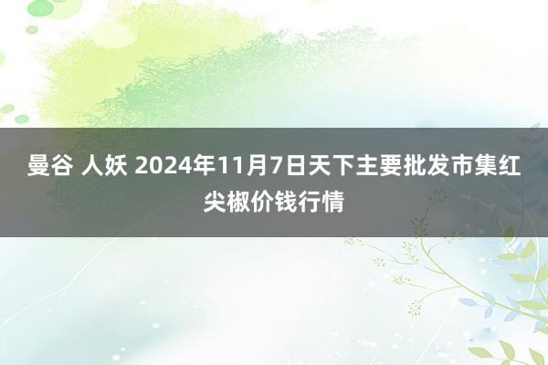 曼谷 人妖 2024年11月7日天下主要批发市集红尖椒价钱行情