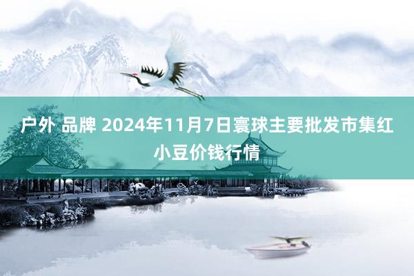 户外 品牌 2024年11月7日寰球主要批发市集红小豆价钱行情