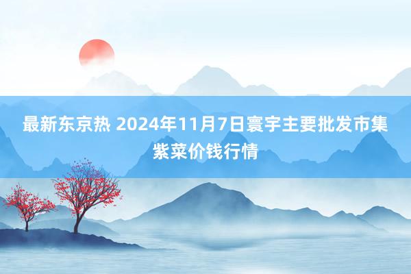 最新东京热 2024年11月7日寰宇主要批发市集紫菜价钱行情