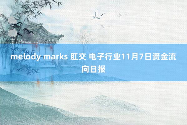 melody marks 肛交 电子行业11月7日资金流向日报