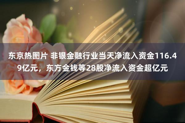 东京热图片 非银金融行业当天净流入资金116.49亿元，东方金钱等28股净流入资金超亿元