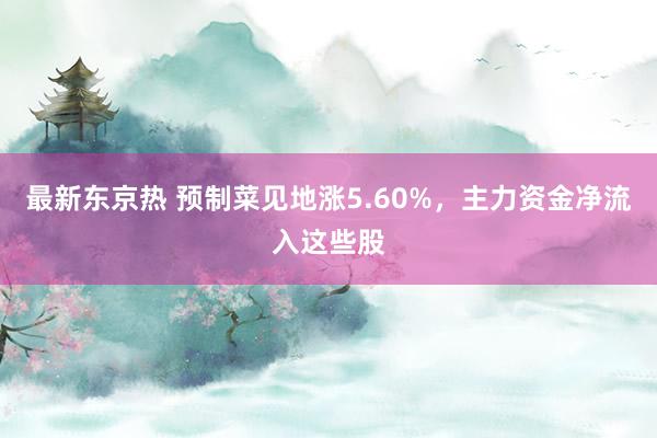 最新东京热 预制菜见地涨5.60%，主力资金净流入这些股