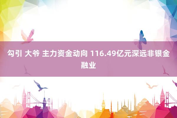 勾引 大爷 主力资金动向 116.49亿元深远非银金融业