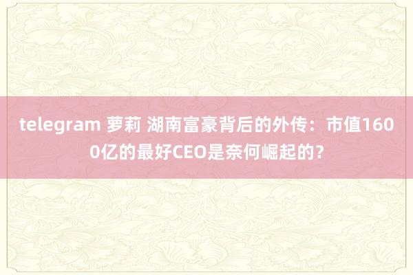 telegram 萝莉 湖南富豪背后的外传：市值1600亿的最好CEO是奈何崛起的？